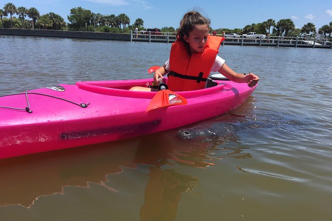 Dolphin & Manatee Kayaking Tour in Orlando Area - Mangroves, plants, and the story of the water