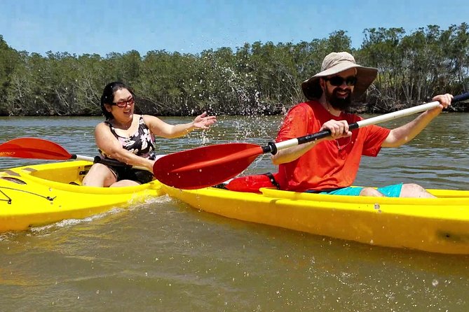 Dolphin & Manatee Kayaking Tour in Orlando Area - Is $65 a fair price?