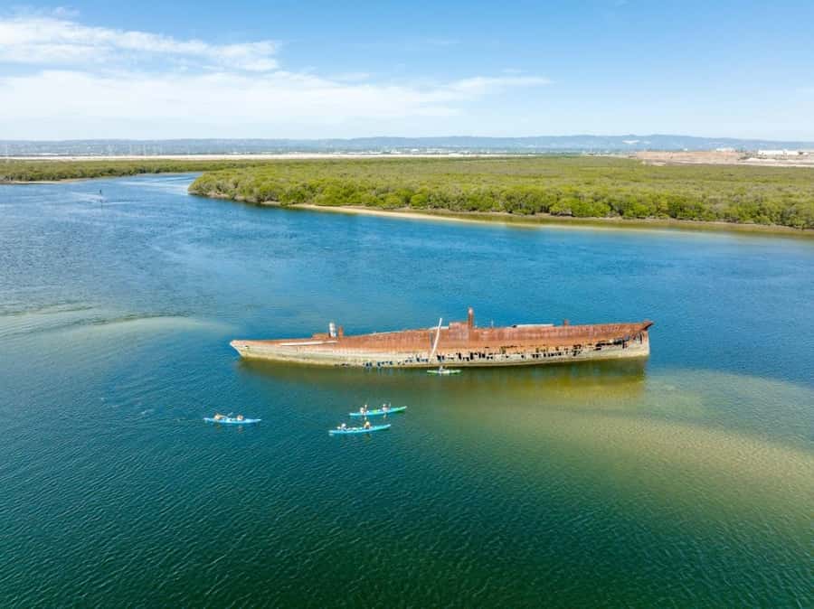 Dolphin Sanctuary and Ships Graveyard Kayak Tour - Why this Port River outing feels different