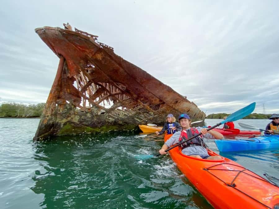 Dolphin Sanctuary and Ships Graveyard Kayak Tour - Mangrove creeks and the quieter side of the sanctuary