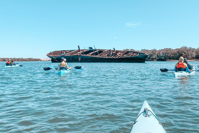 Dolphin Sanctuary Kayak Tour Adelaide - Mangrove channels and the best part of the route