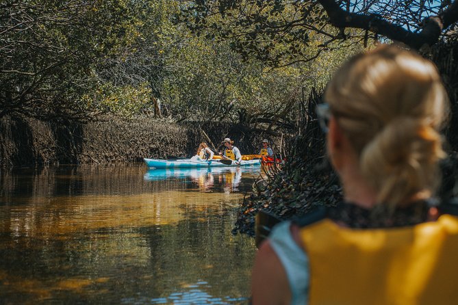 Dolphin Sanctuary Kayak Tour Adelaide - Guide quality and the feel of the outing