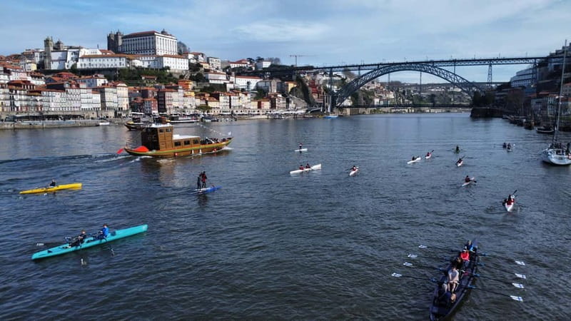 Douro River Kayak or Standup Paddleboard Tour - Starting at Marina do Freixo
