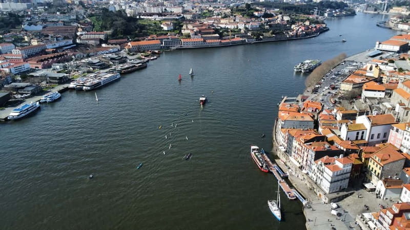 Douro River Kayak or Standup Paddleboard Tour - Kayak or SUP: choosing the right fit