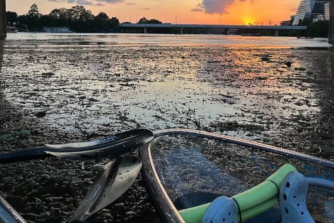 Downtown Austin Skyline Clear Kayak Tour at Lady Bird Lake - Who will enjoy this Austin kayak tour most