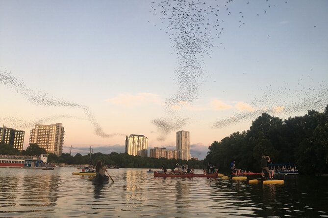 Downtown Austin Sunset Kayak Tour with 1.5 Million Bats - Key points before you book