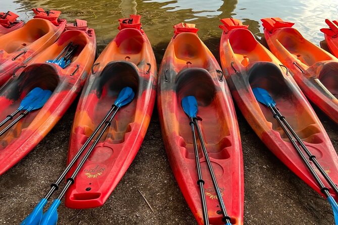 Downtown Austin Sunset Kayak Tour with 1.5 Million Bats - The dark paddle back to downtown