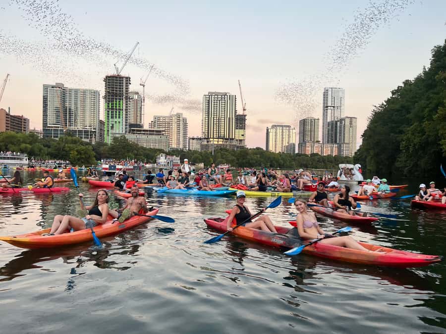 Downtown Sunset Tandem Kayak with 1.5M Bats - Key points at a glance