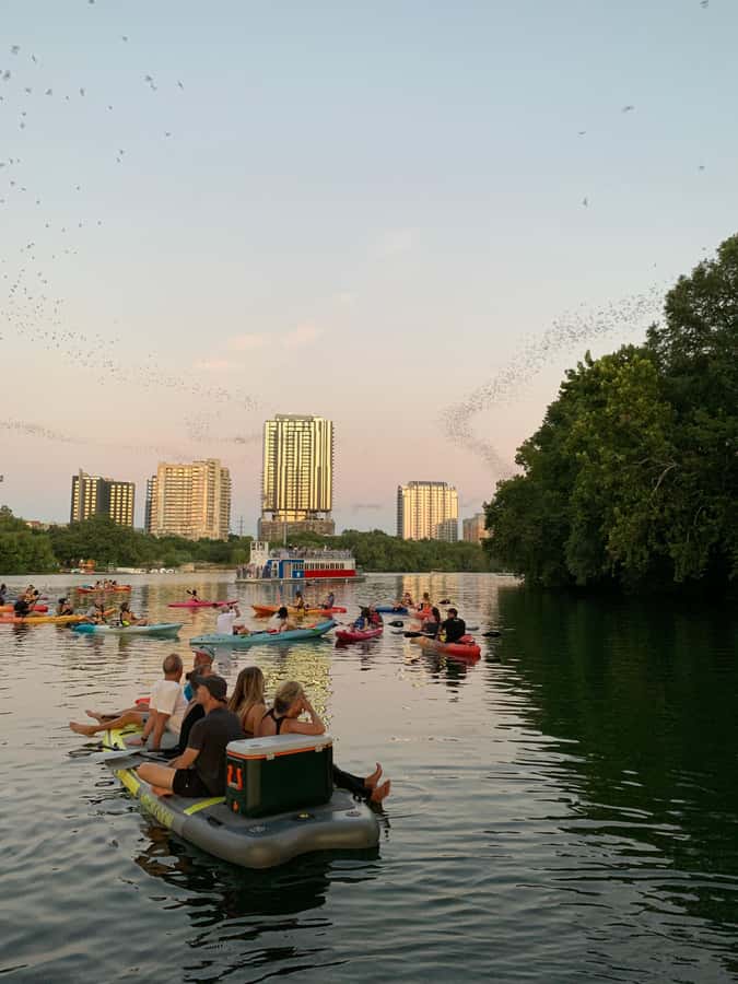 Downtown Sunset Tandem Kayak with 1.5M Bats - Why the sunset paddle works so well