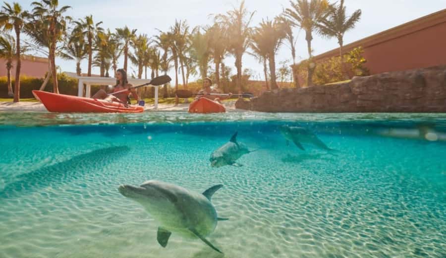 Dubai: Atlantis Dolphin Kayak Trip & Aquaventure Waterpark - Key points to know before booking
