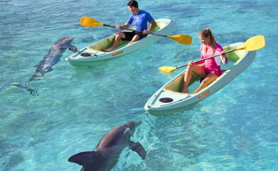Dubai: Atlantis Dolphin Kayak Trip & Aquaventure Waterpark - Kayaking through Dolphin Bay Lagoon