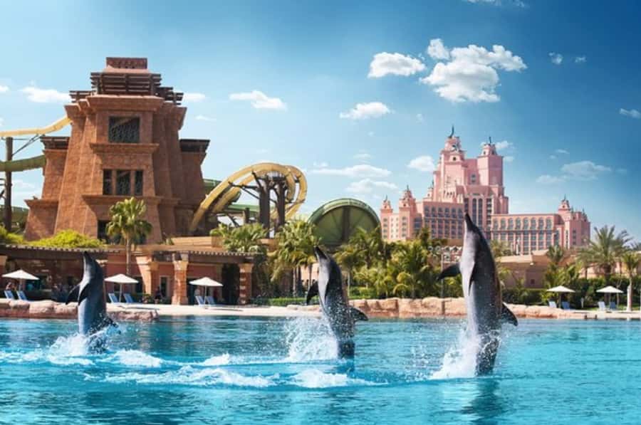 Dubai: Atlantis Dolphin Kayak Trip & Aquaventure Waterpark - The safety briefing comes first