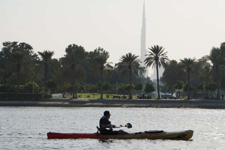 Dubai: Sunset/Night Dubai Creek Kayak Tour - What the feedback tells you about the operation