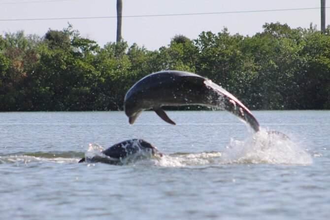 Easy Ride Pedal Kayak Tour Marco Island & Naples (Pedal or Paddle - Why pedal kayaks change the experience