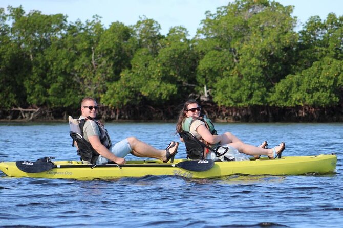 Easy Ride Pedal Kayak Tour Marco Island & Naples (Pedal or Paddle - Rammel’s guiding style