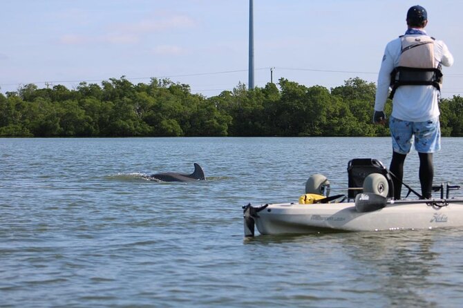 Easy Ride Pedal Kayak Tour Marco Island & Naples (Pedal or Paddle - Group size, timing, and who should book