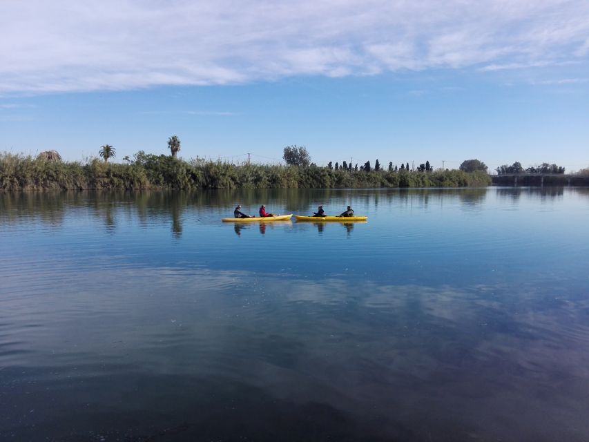 Ebro Delta: Guided Kayak Tour to Gracia Island - Key points before you book