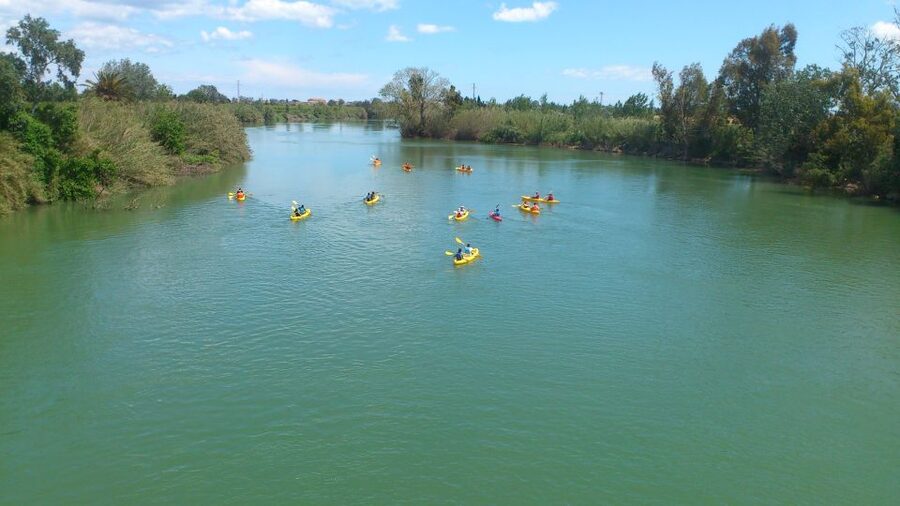 Ebro Delta: Guided Kayak Tour to Gracia Island - Starting in Balada beside the Ebro