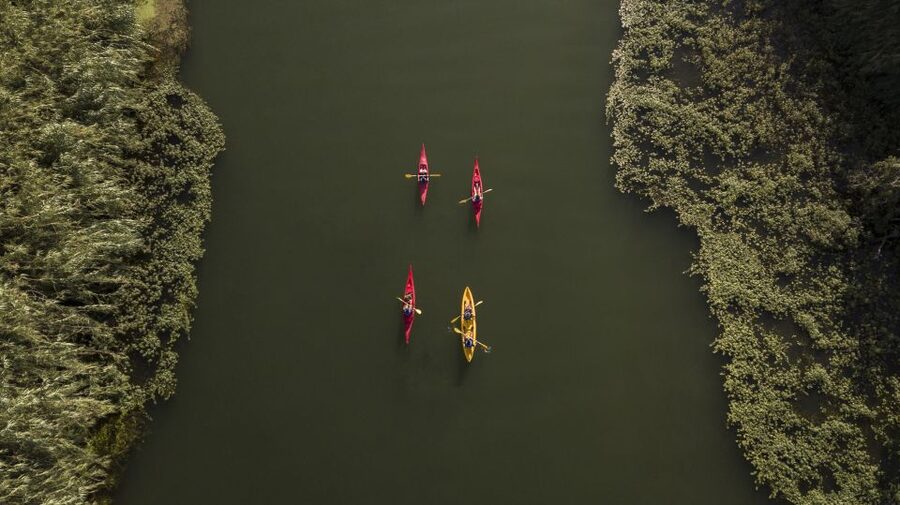 Ebro Delta: Guided Kayak Tour to Gracia Island - Around Gracia Island and into the national park