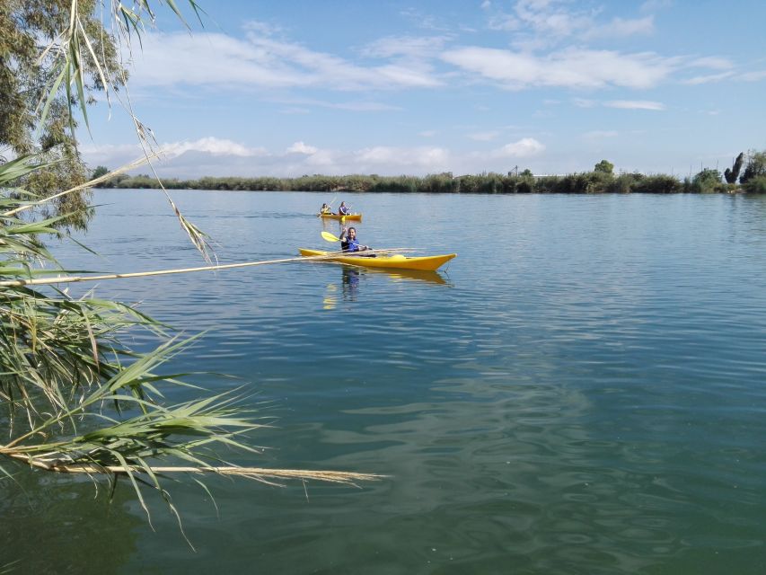 Ebro Delta: Guided Kayak Tour to Gracia Island - Who will enjoy this kayak route most?