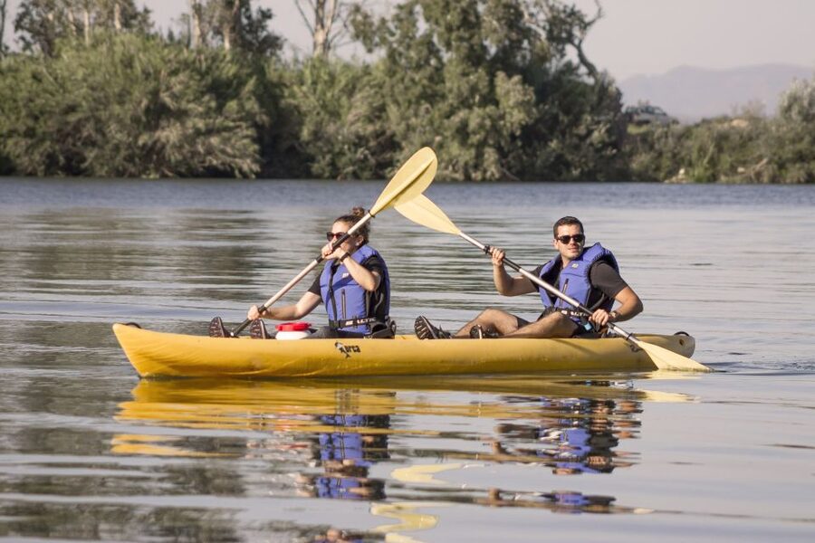 Ebro Delta: Guided Kayak Tour to Gracia Island - Should you book the Gracia Island kayak tour?