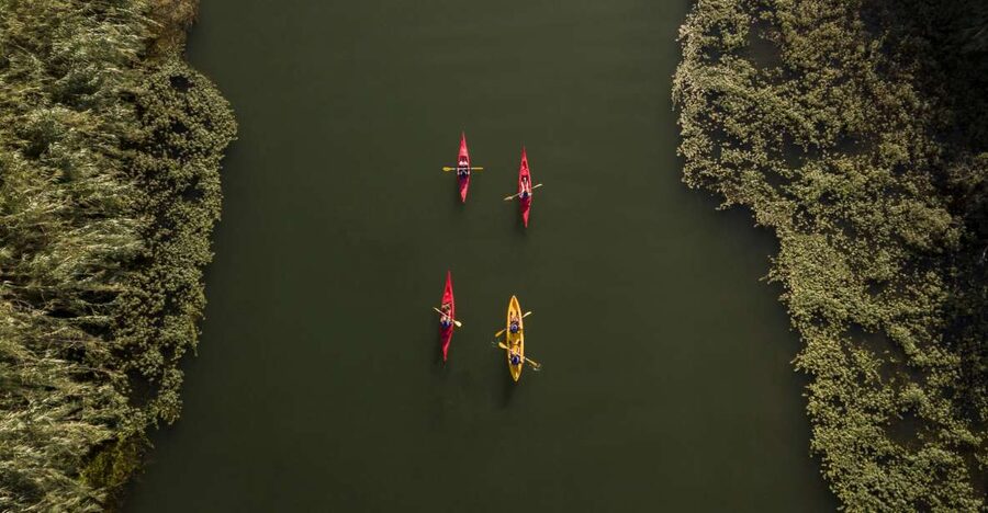 Ebro Delta: Guided Kayak Tour to Gracia Island - Paddling through poplars and tamarisks