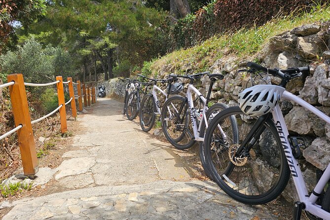 Elafiti Islands Sea kayaking: Full-Day Bike and Kayak tour on Lopud and Šipan - Switching to bicycles in Sudurad