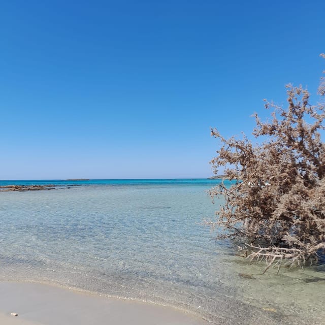Elafonissi: Private Beach Day Trip with SUP - Fruit, water, and what to buy yourself