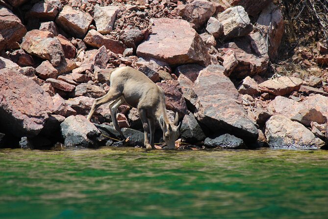Emerald Cave Scenic Escape Guided Tour —Self-Drive Colorado River - Who will enjoy this tour most