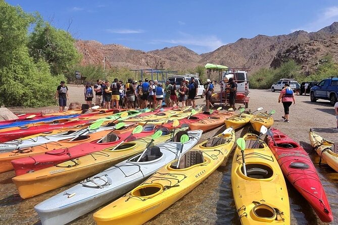 Emerald Cave Self-Guided Kayak Tour in Black Canyon - Wildlife along the river