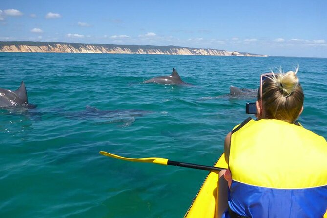 Epic Kayak With Dolphins & Wildlife - 4WD Beach Adventure Noosa - Key points before you book