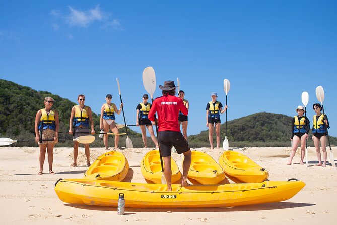 Epic Kayak With Dolphins & Wildlife - 4WD Beach Adventure Noosa - Wildlife: exciting, unpredictable, and never guaranteed