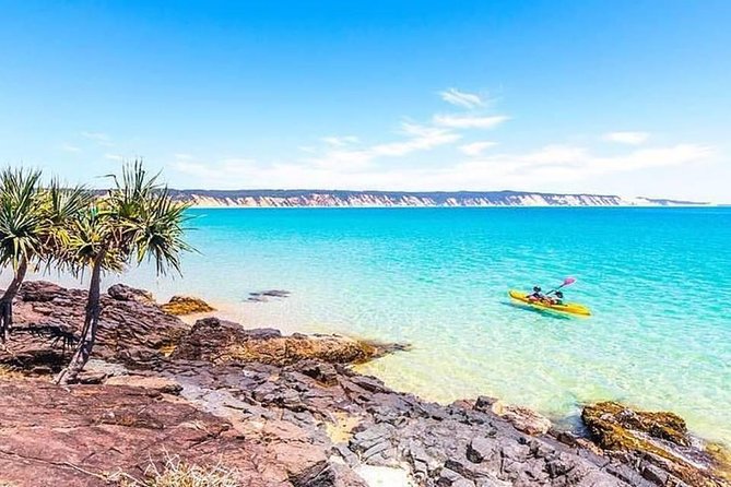 Epic Kayak With Dolphins & Wildlife - 4WD Beach Adventure Noosa - Timing, meeting point, and practical planning