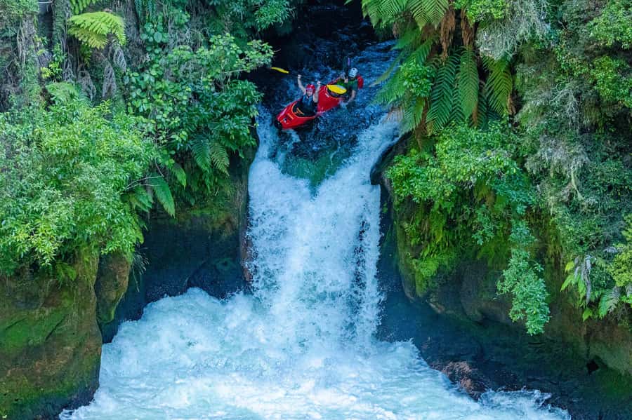 Epic Tandem Kayak Tour down the Kaituna River Waterfalls - Booking details that matter