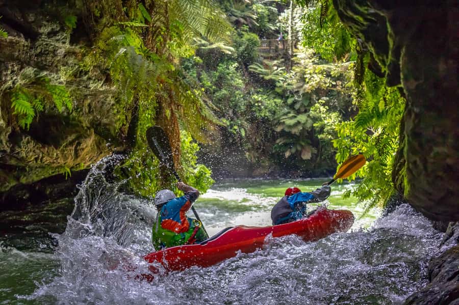 Epic Tandem Kayak Tour down the Kaituna River Waterfalls - Who should book this Kaituna adventure?