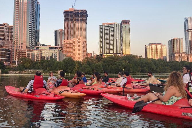 Evening Bat Watching Kayak Tour - Key things to know before you paddle