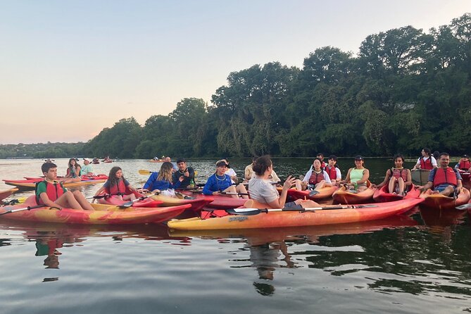 Evening Bat Watching Kayak Tour - Getting to the dock on East Riverside Drive