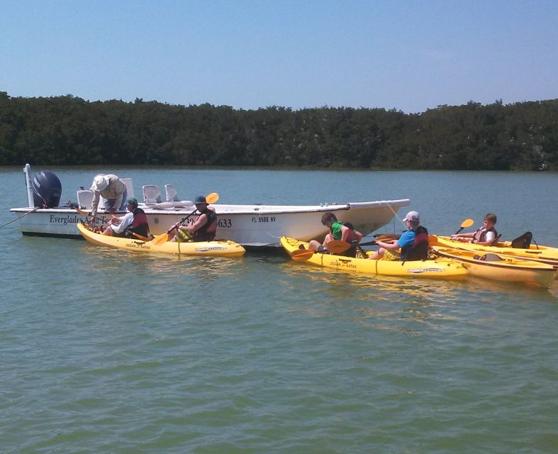 Everglades: Boat Assisted Kayak Eco Tour - Key points to know before you book