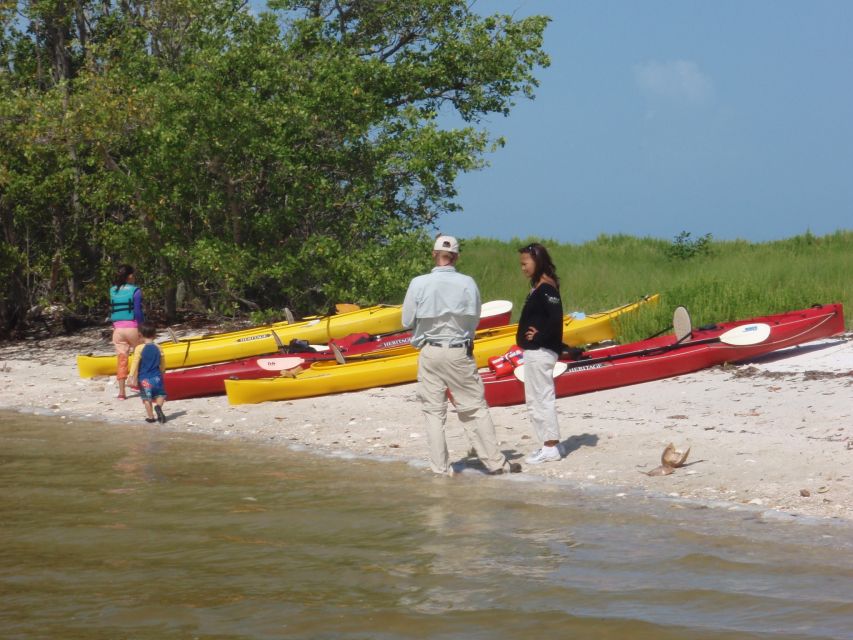 Everglades: Boat Assisted Kayak Eco Tour - Kayaking without the usual pressure