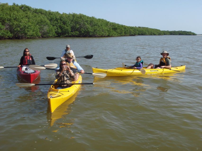 Everglades: Boat Assisted Kayak Eco Tour - The short walk adds a different view