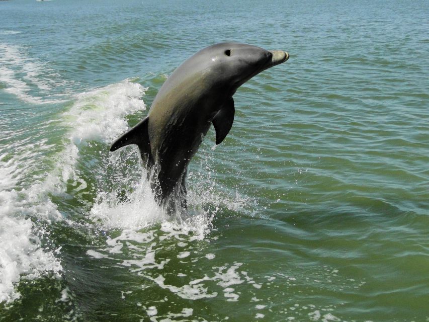 Everglades: Boat Assisted Kayak Eco Tour - What the 210 minutes feel like