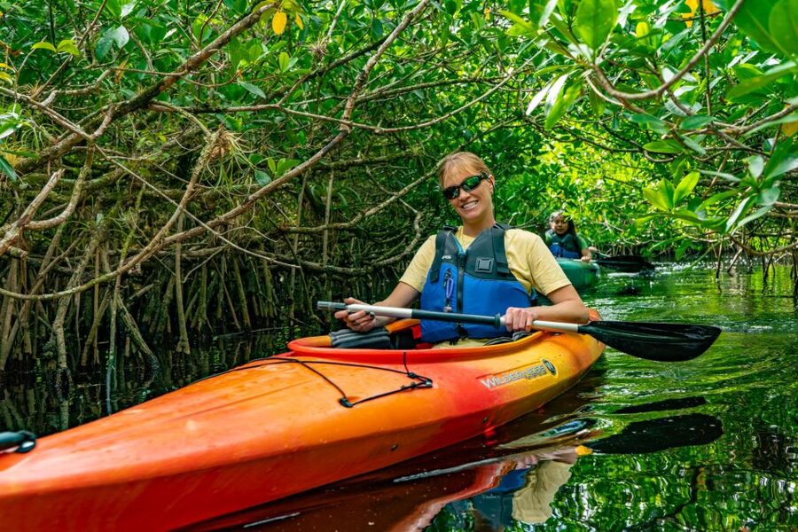 Everglades City: Guided Kayaking Tour and Airboat Ride - Key points to know before booking