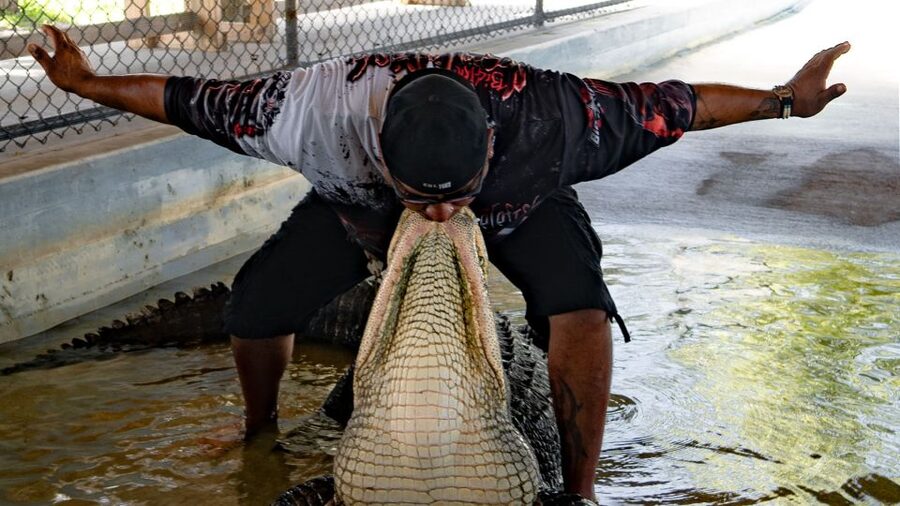Everglades City: Guided Kayaking Tour and Airboat Ride - How the included kayak transfer works