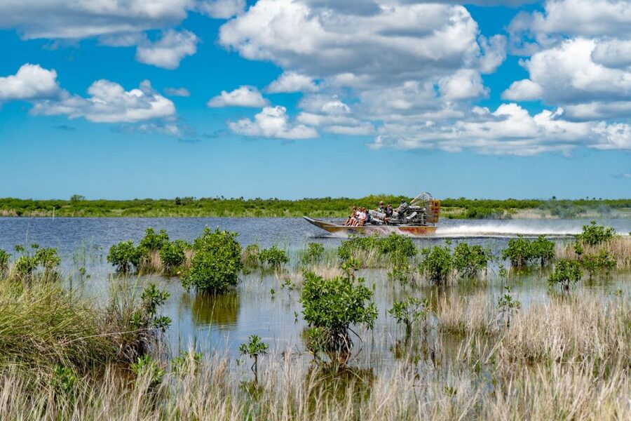 Everglades City: Guided Kayaking Tour and Airboat Ride - What $149 gets you