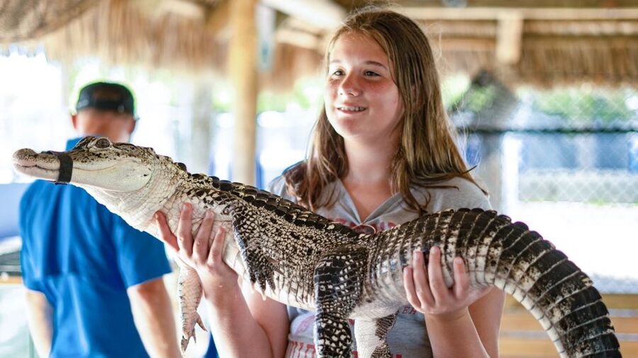 Everglades City: Guided Kayaking Tour and Airboat Ride - Who will enjoy this combination most