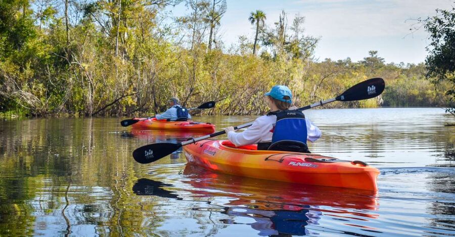 Everglades City: Guided Kayaking Tour of the Wetlands - Key points to know before booking