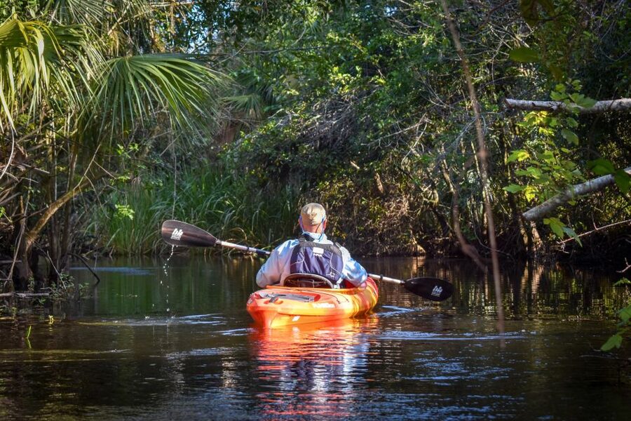 Everglades City: Guided Kayaking Tour of the Wetlands - Who should book this kayaking trip?