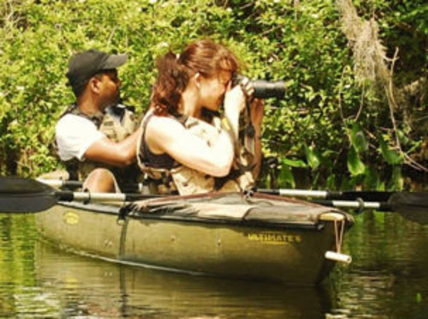 Everglades: Everglades Alligators and Orchids Kayak Eco Tour - What the $130 price really includes
