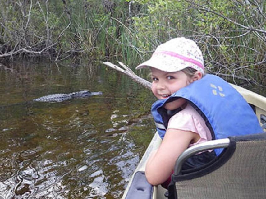 Everglades: Everglades Alligators and Orchids Kayak Eco Tour - Who will enjoy this kayak trip most