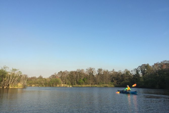 Everglades Kayak Safari Adventure Through Mangrove Tunnels - Mangrove tunnels, cypress trees, and open grass